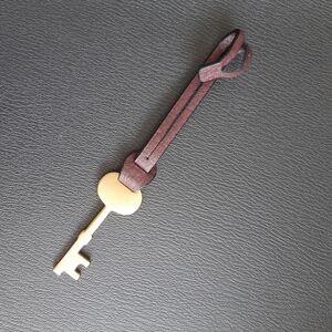 Fossil key bag charm